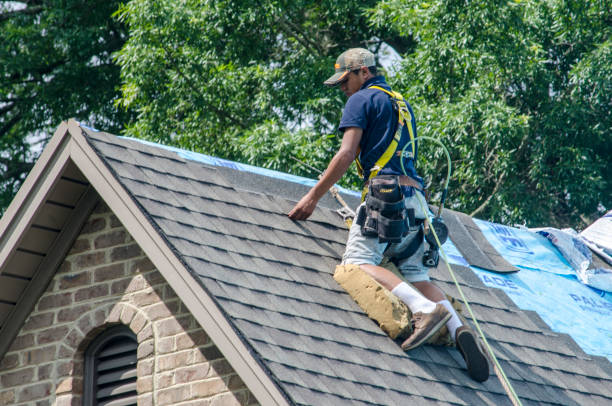 Best Flat Roof Repair Services  in Carrabelle, FL